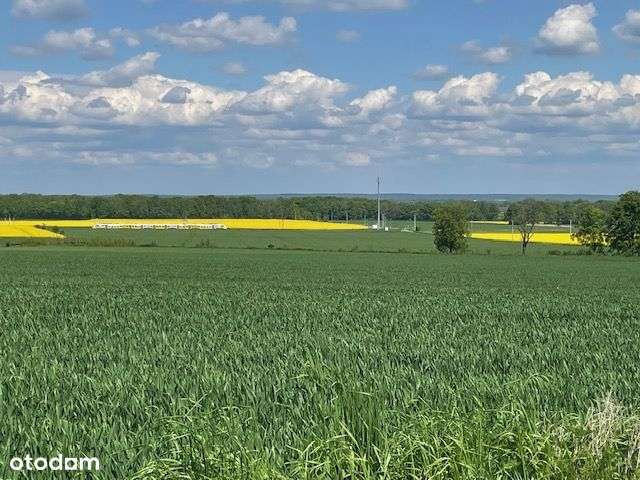 Działki Dobroszów - Pełny obrazek: 4/11