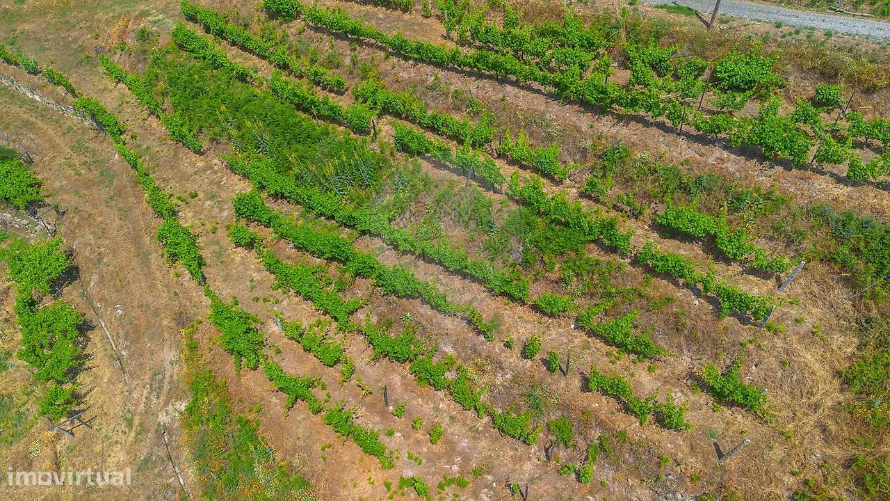 Terreno  para venda - Grande imagem: 4/27