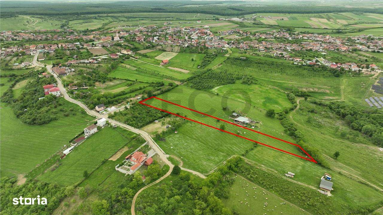 RECO Teren intravilan in Cordau-Sanmartin - Imagine principală: 5/5