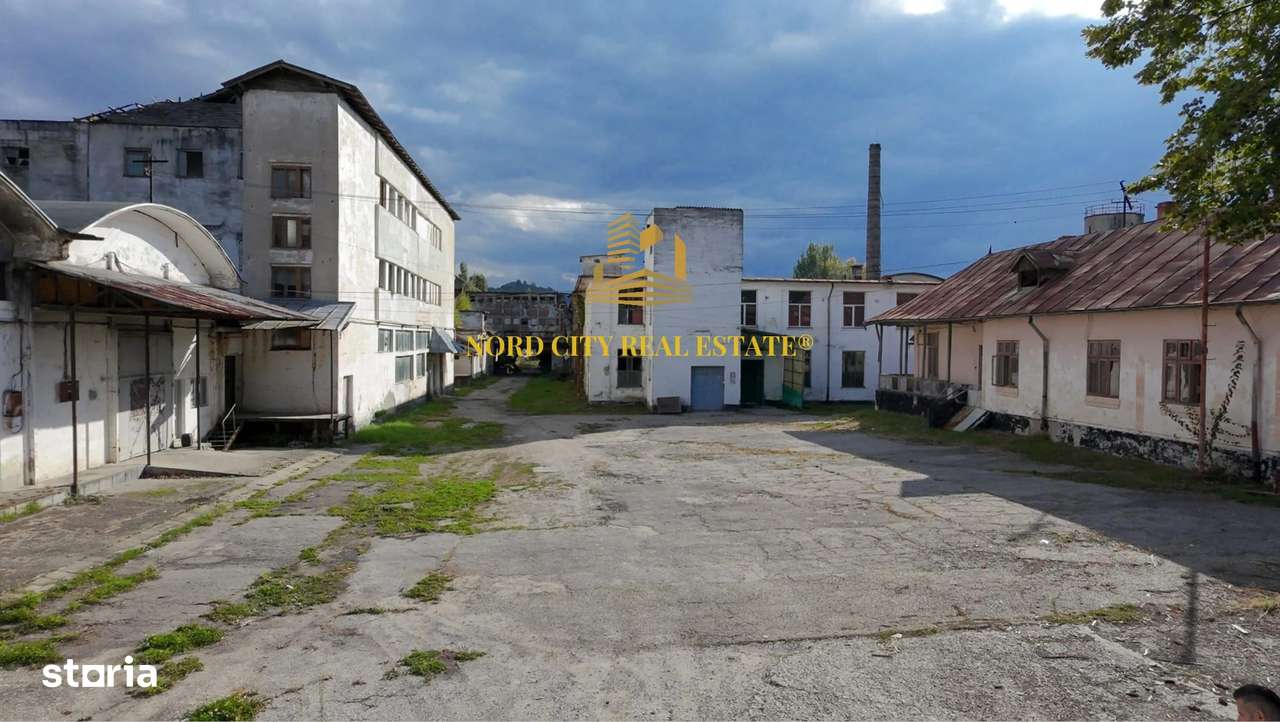 Platforma Industriala-8 ha -Fabrica-Hale Productie-21.500 mp-15