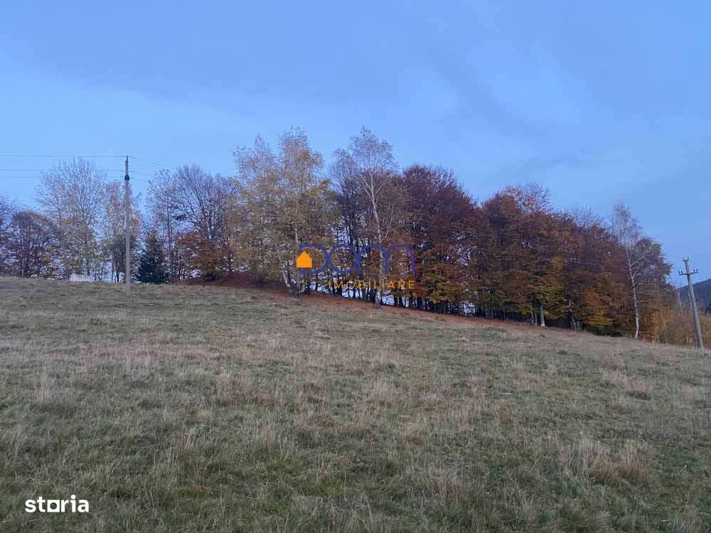 Teren intravilan Brebu Nou - Trei Ape - Imagine principală: 5/10