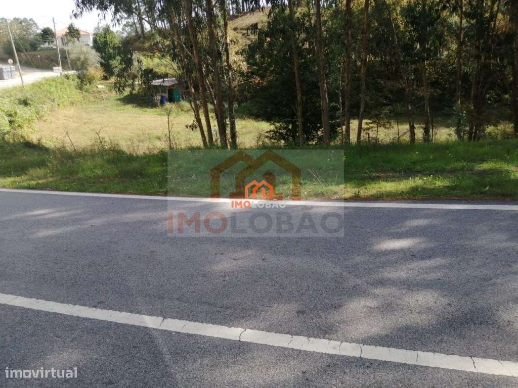 TERRENO - CANEDO (MOSTEIRÔ) - Grande imagem: 3/4