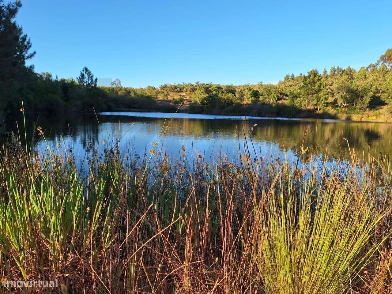 Herdade com 139 ha em Almeirim (Raposa) – produção, água e privacidade - Grande imagem: 5/21