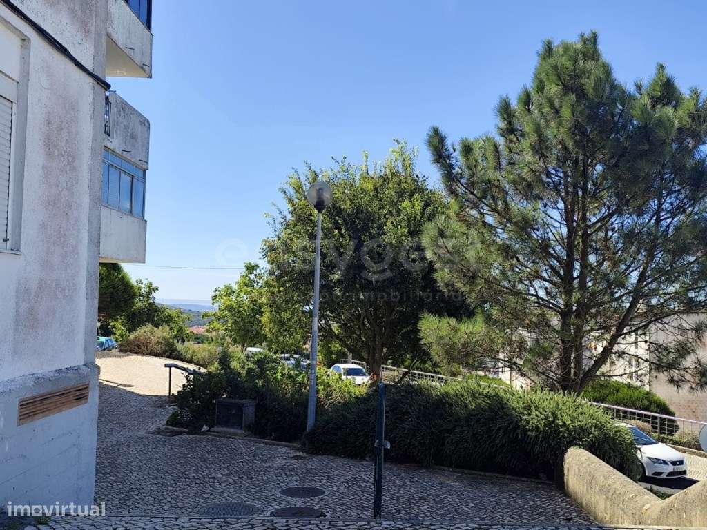 T3 com Marquise e Arrecadação 85m2 - Oportunidade em Zona Tranquila - Grande imagem: 5/14