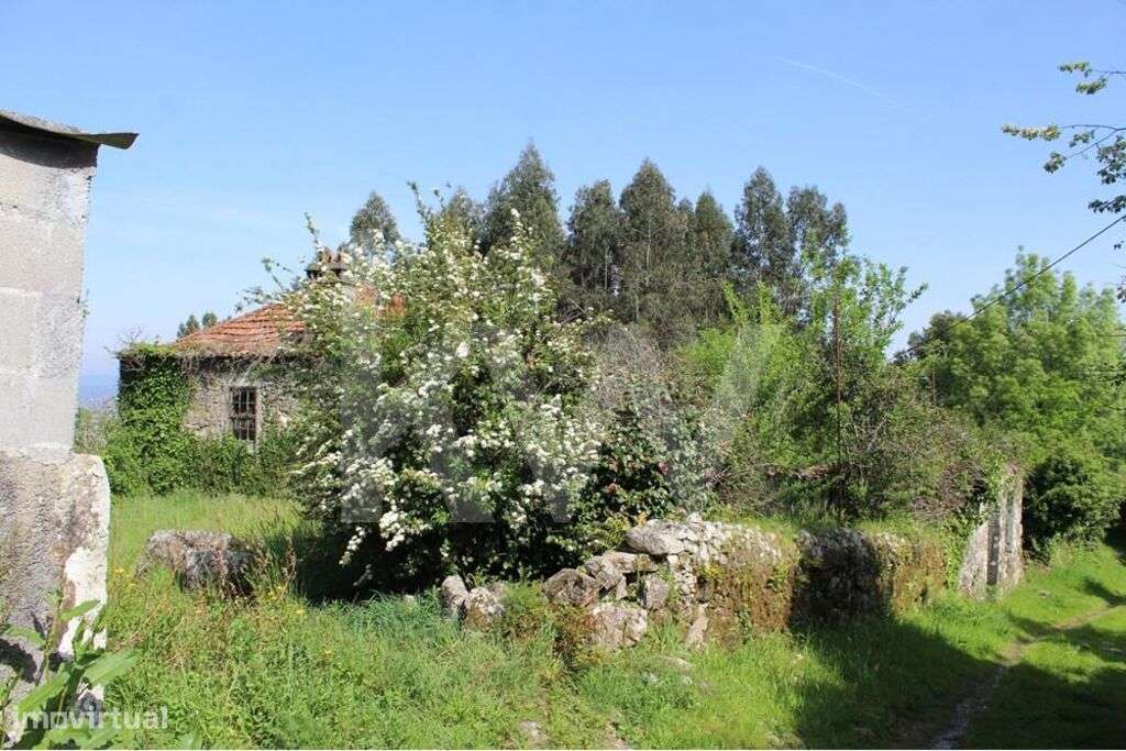 Moradia e terreno com 4200m2 em Valença. Investimento Estratégico em T - Grande imagem: 2/20