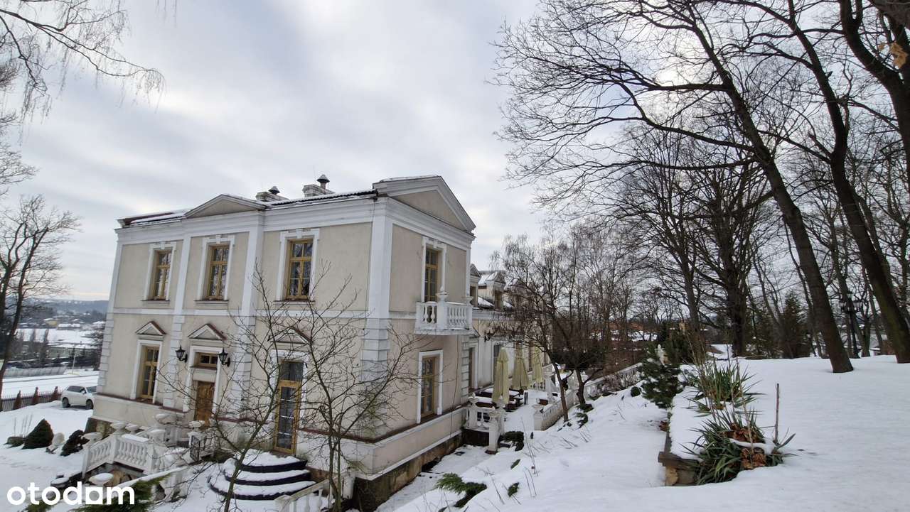 Przepiękny Pałac Tarnowskich czeka na nabywcę.-18