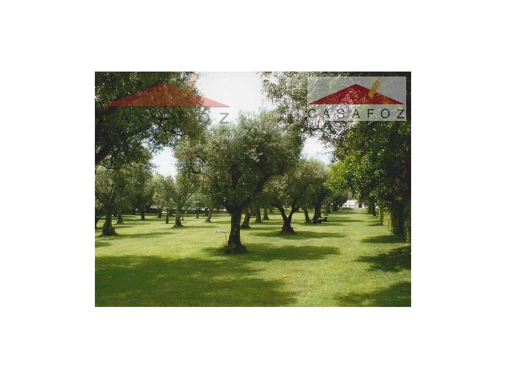 Viana do Castelo - Venda Quinta-18