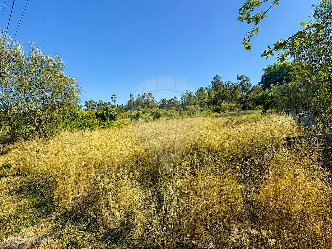 Terreno  para venda-4