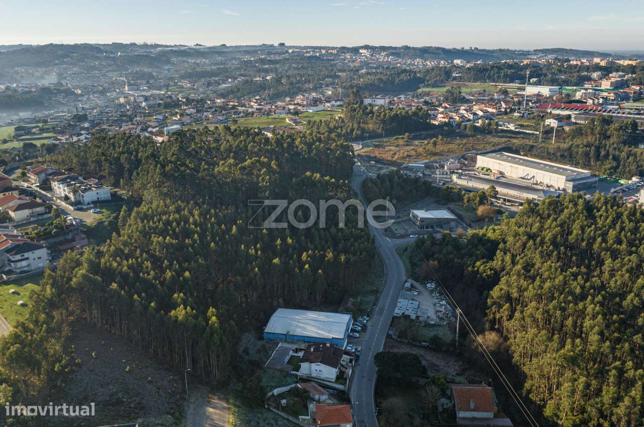 Terreno Urbano Sanguedo - Grande imagem: 3/16