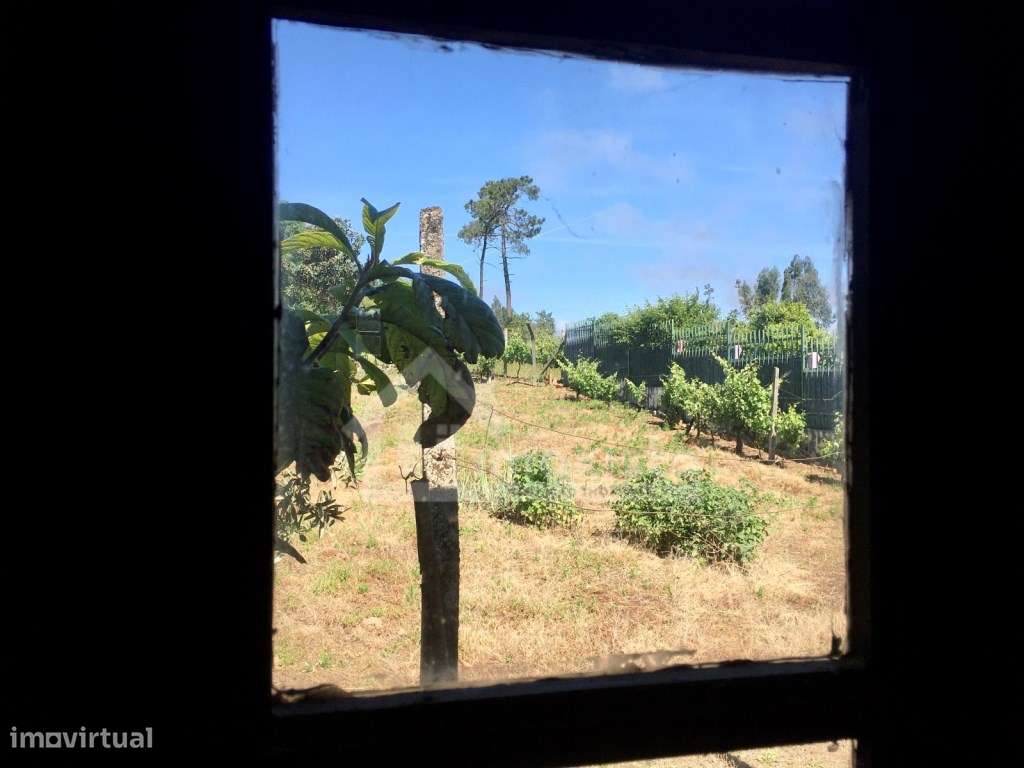 Casa de Campo T3 em Arega, Figueiró dos Vinhos-38