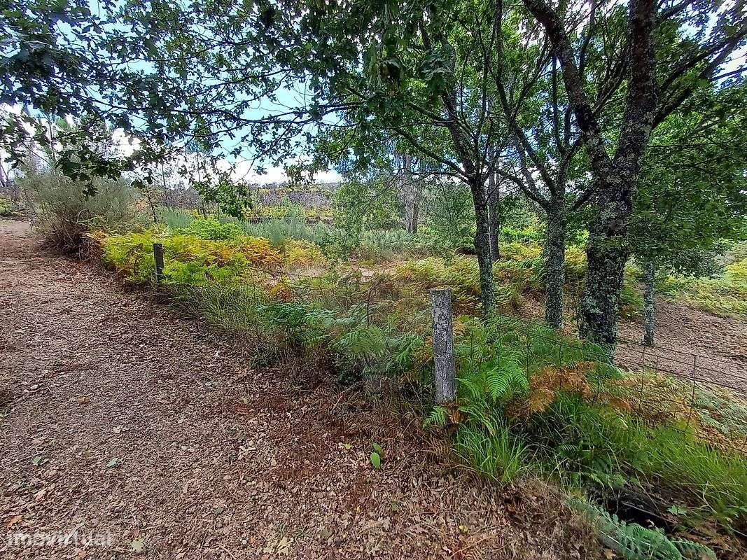 Terreno  para venda-3