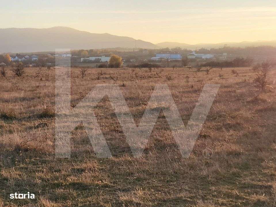 Oportunitate investitie | De vanzare, 3 parcele de 560 mp. - Imagine principală: 4/5