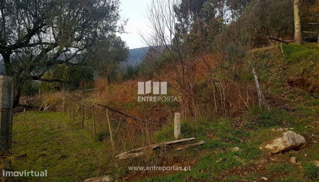 Venda de Terreno, Bárrio, Ponte de Lima - Grande imagem: 5/7