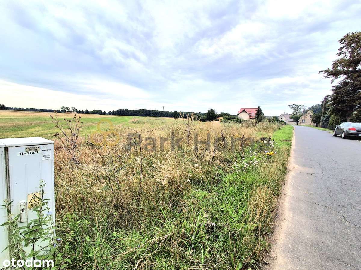 Działka 30 arowa, Droglowice - Pełny obrazek: 2/6