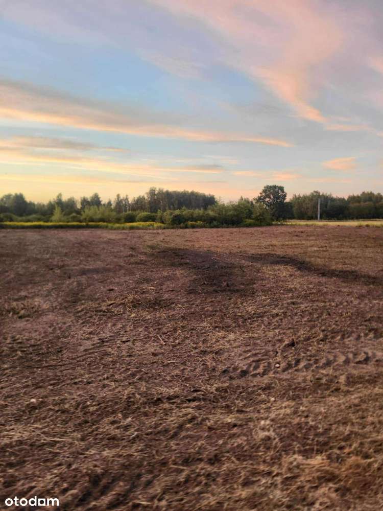 Działka budowlana 2997 m² w cichej okolicy - Pełny obrazek: 1/4