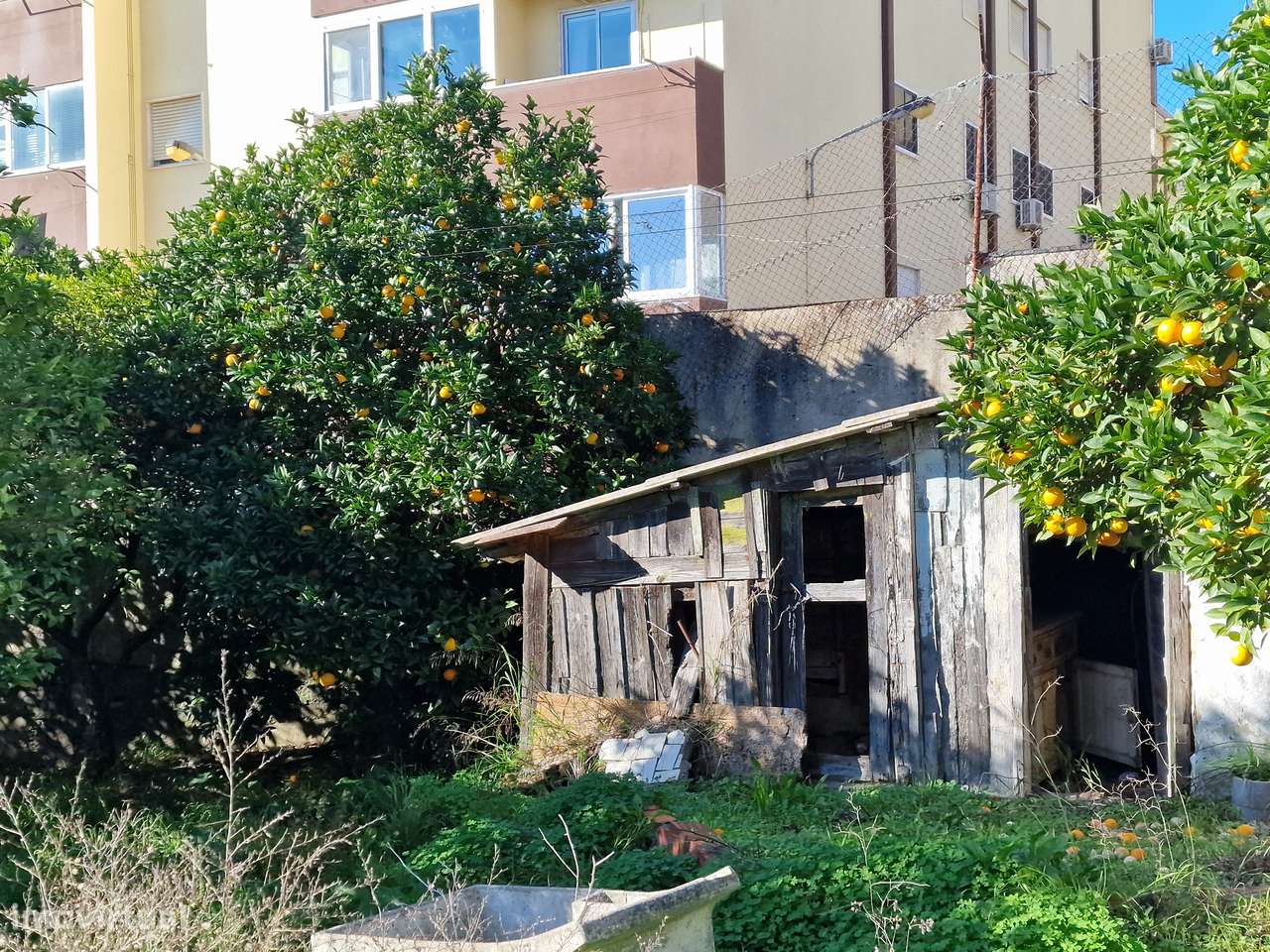 Terreno Misto com Elevado Potencial de Investimento-14