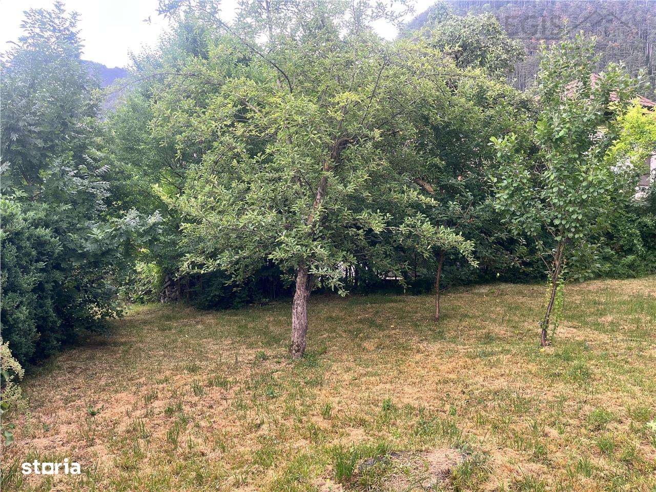 TEREN 1600MP CU CASA 5 CAMERE, SCHEII BRASOVULUI - Imagine principală: 2/9