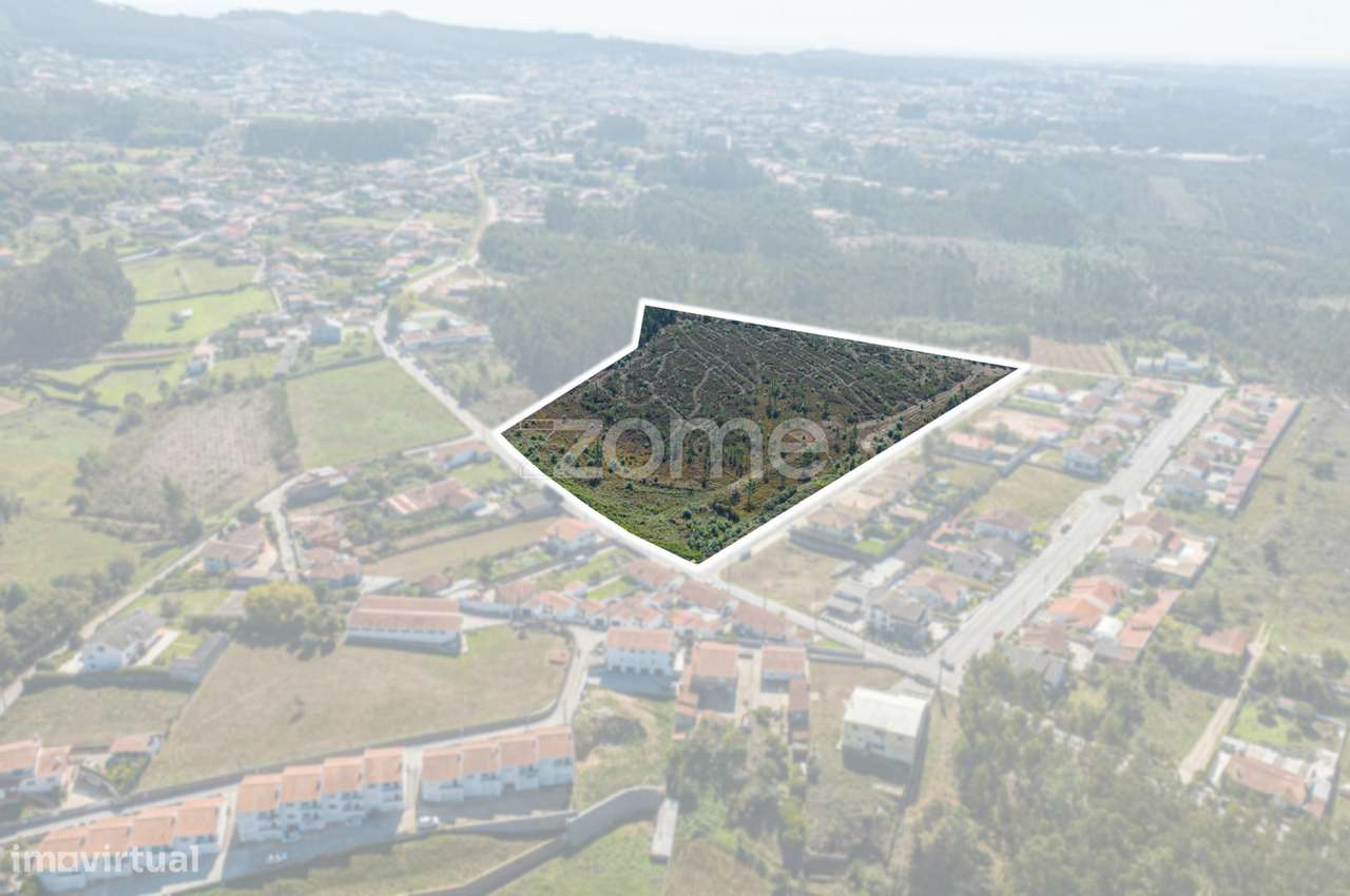 Terreno de 36892m² com PIP aprovado em Oliveira de Azeméis - Grande imagem: 2/16