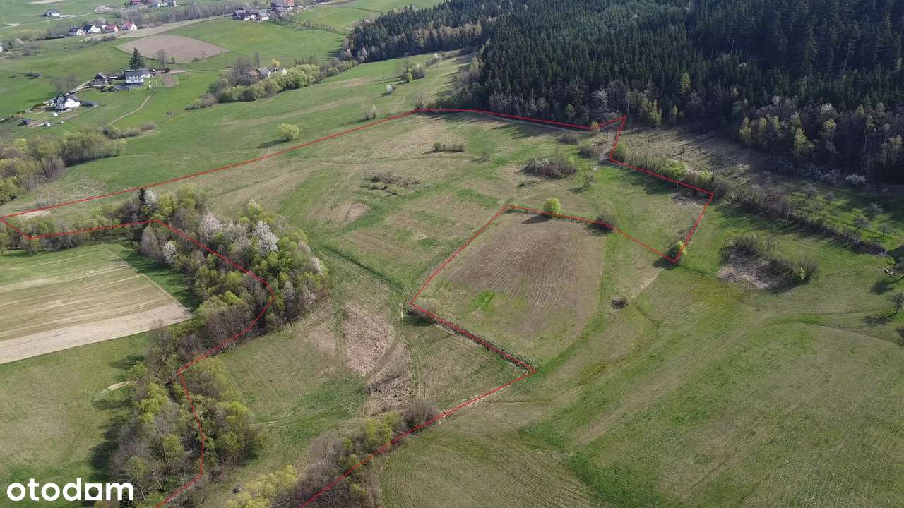 Działka rolna 4,5 ha - zachodni stok, dobra ekspozycja - Pełny obrazek: 3/8
