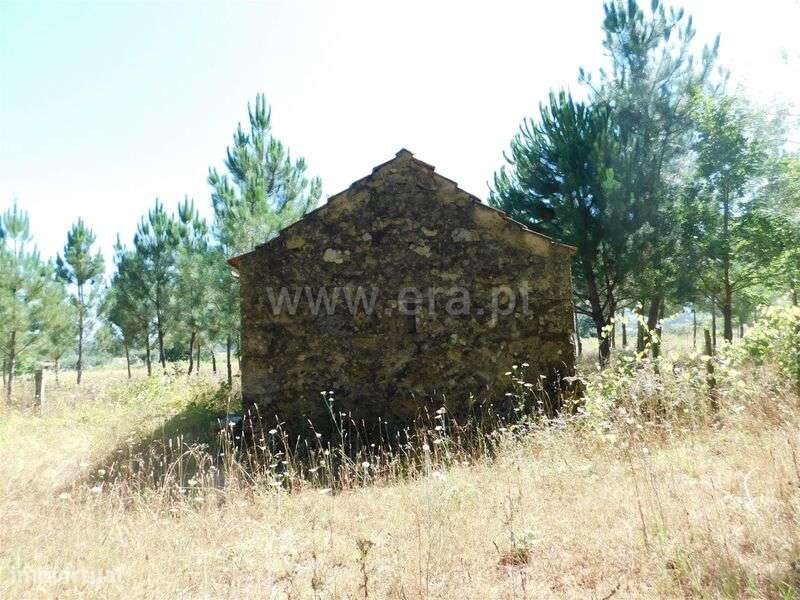 Terreno / Seia, Pinhanços - Grande imagem: 5/6