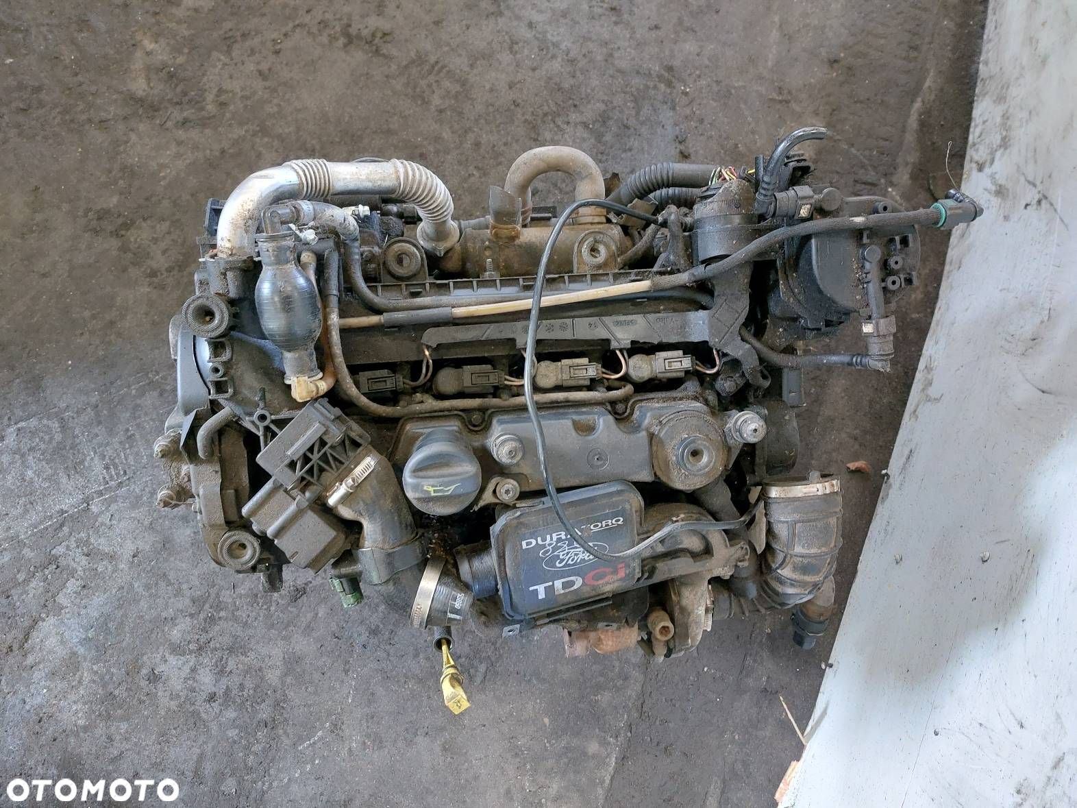 SILNIK DIESEL + POMPA + WTRYSKI + TURBO FIESTA MK5 1.4 TDCI F6JA F6JB - 6