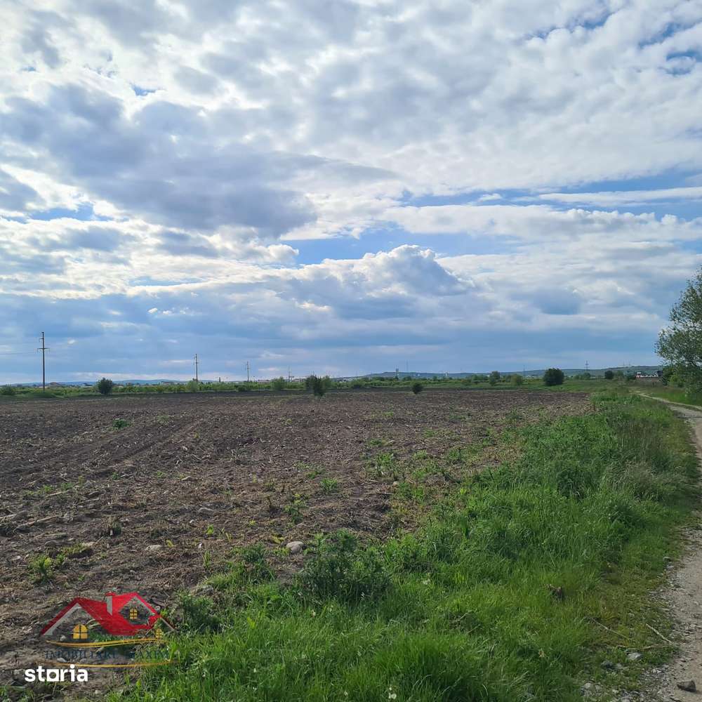 Imobiliare Maxim  teren extravilan Gușterița-4