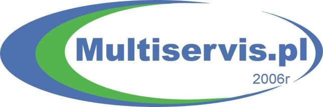 MULTISERVIS PL logo