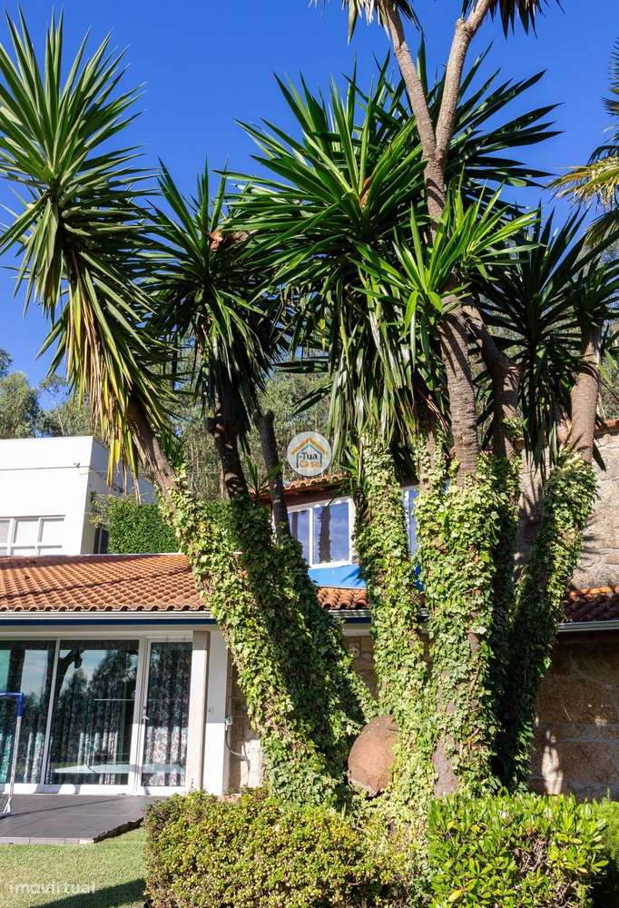 Moradia T3 + T2 + Piscina + Armazéns em Terreno de 6.721 m2 - Grande imagem: 4/59