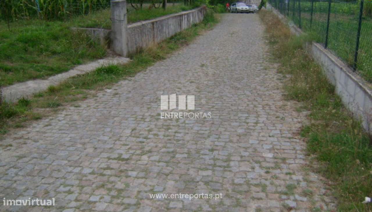 Venda Terreno, Cinfães - Grande imagem: 5/30