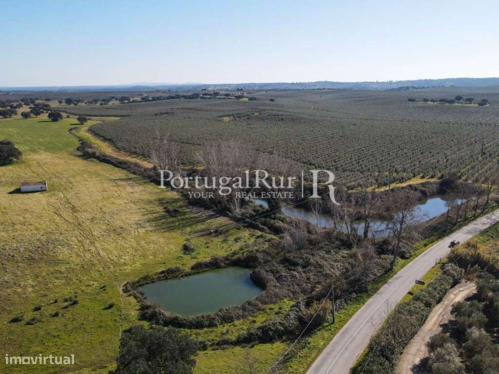 Quinta com 29 hectares em Avis - Grande imagem: 3/60