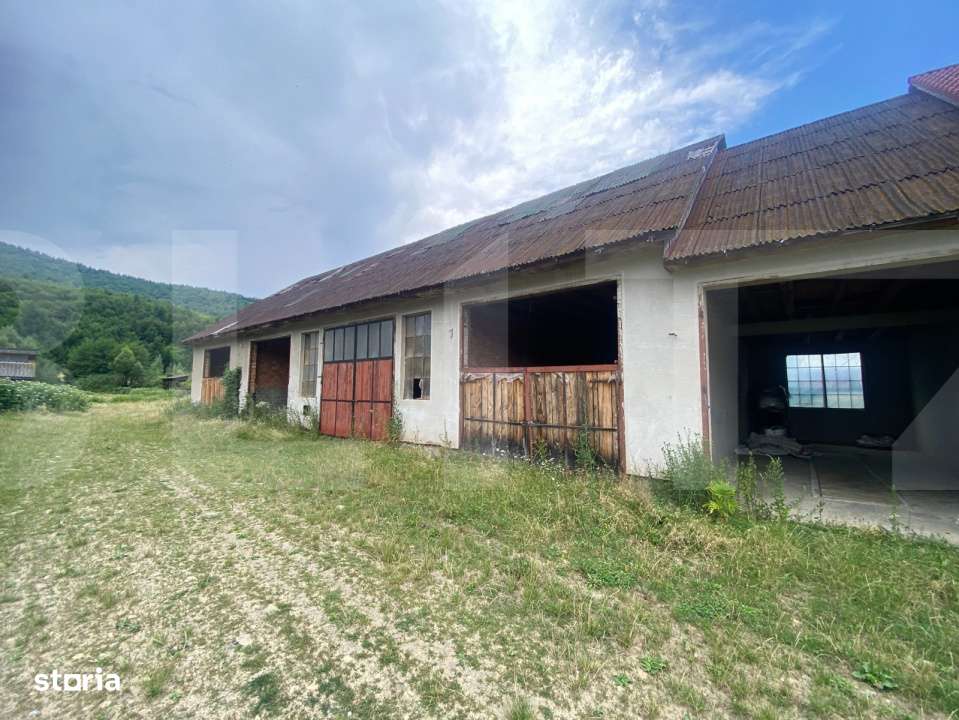 Proprietate pentru turism si agrement, 7.000 mp teren – Ghelinta - Imagine principală: 5/9