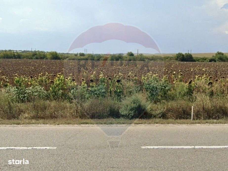 Teren intravilan 9911mp de vânzare, Berești-Bistrița/ E85 - Imagine principală: 3/4