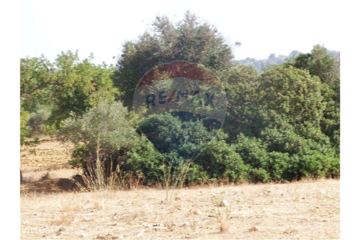 Terreno  para venda - Grande imagem: 3/5