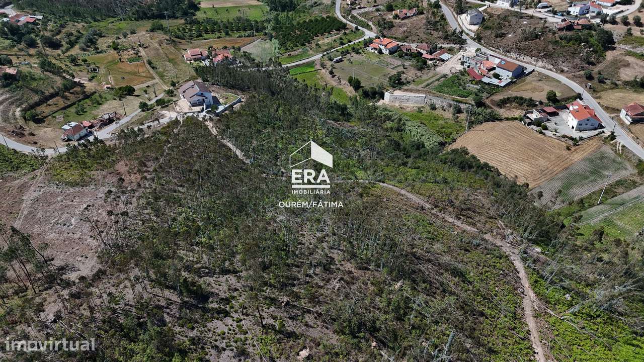 Terreno Florestal em Matas, Ourém-12