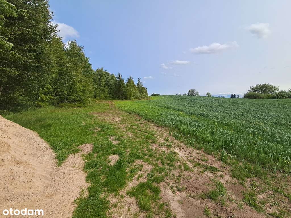 Działki w zacisznym miejscu miejscowość Szklana - Pełny obrazek: 4/7