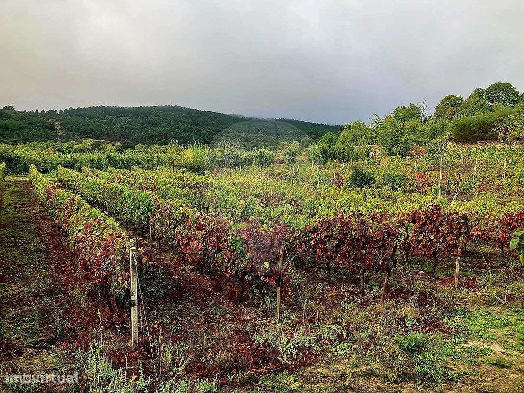 Terreno  para venda - Grande imagem: 4/11