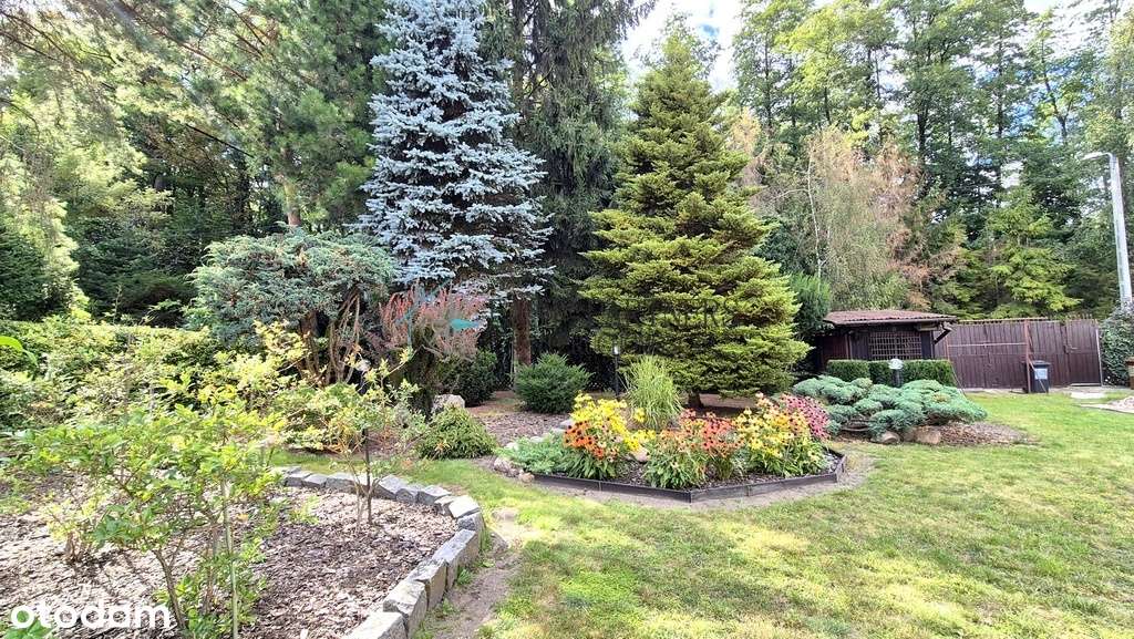 Idealne Miejsce Pod Inwestycje- Działka- 1074 m2-3