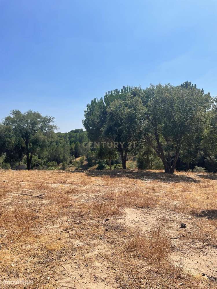 Terreno rústico com 3125m2 e localizado em Vale do Carvoeiro, Lavre - - Grande imagem: 2/17