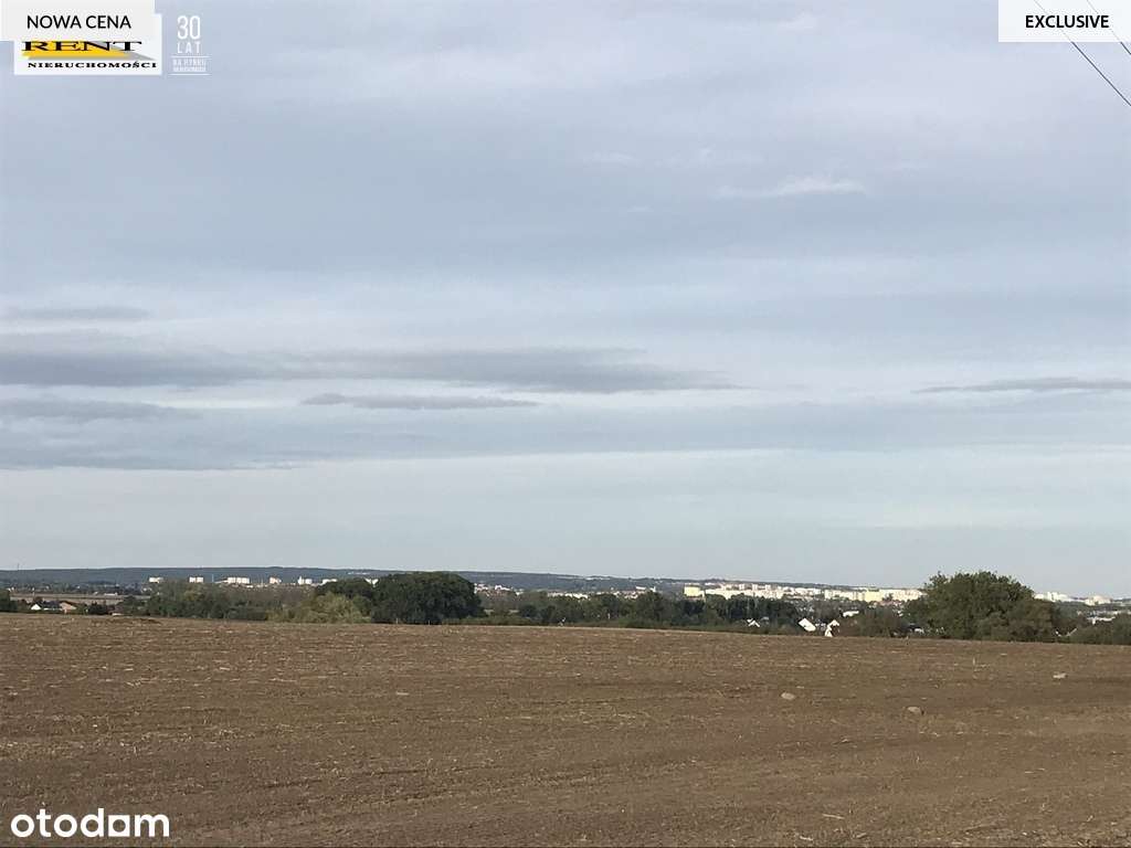 Działki rolne w Karwowie, gmina Kołbaskowo - Pełny obrazek: 4/4