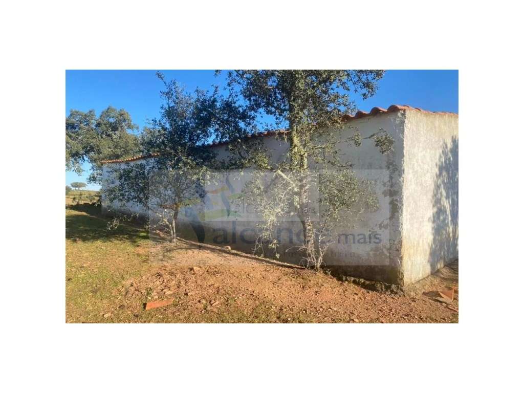 Propriedade em Santa Iria/Serpa - Excelente oportunidade para quem ... - Grande imagem: 4/15