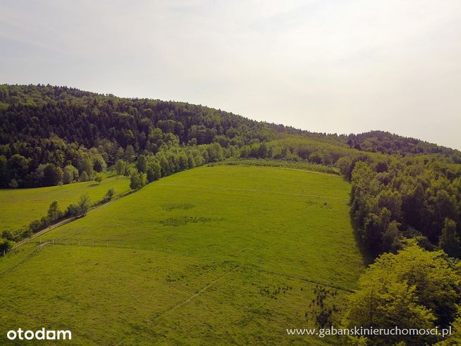 Działki budowlane w pięknej okolicy - Słona