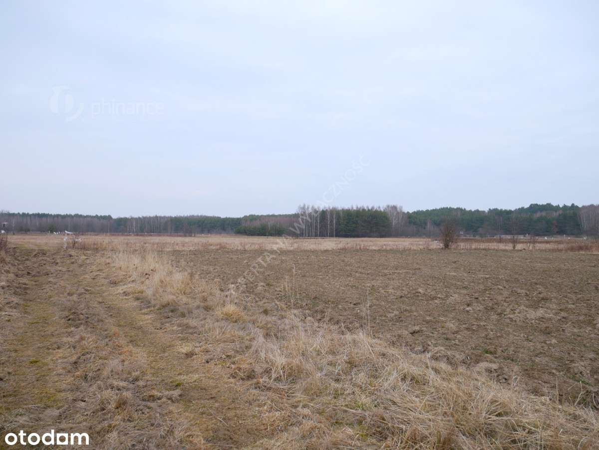 Działka 29,54 ar, rolno-budowlana z Wz, Grębów - Pełny obrazek: 5/9