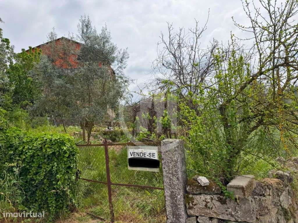 Terreno com construção - Vale da Loba, Beijós-4