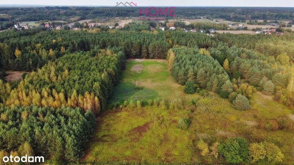 Sprzedam działkę w Rytwianach przy lesie - Pełny obrazek: 5/7