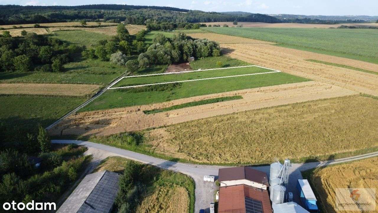 piękna działka 24 ary Radwanowice rolna > zagrodowa-1