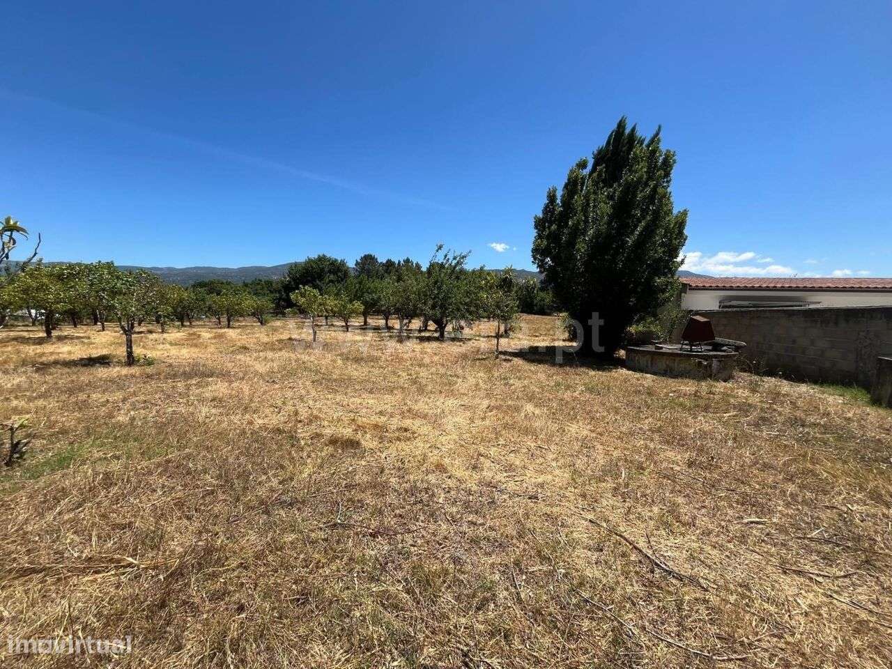 Terreno / Seia, Santa Comba - Grande imagem: 4/6