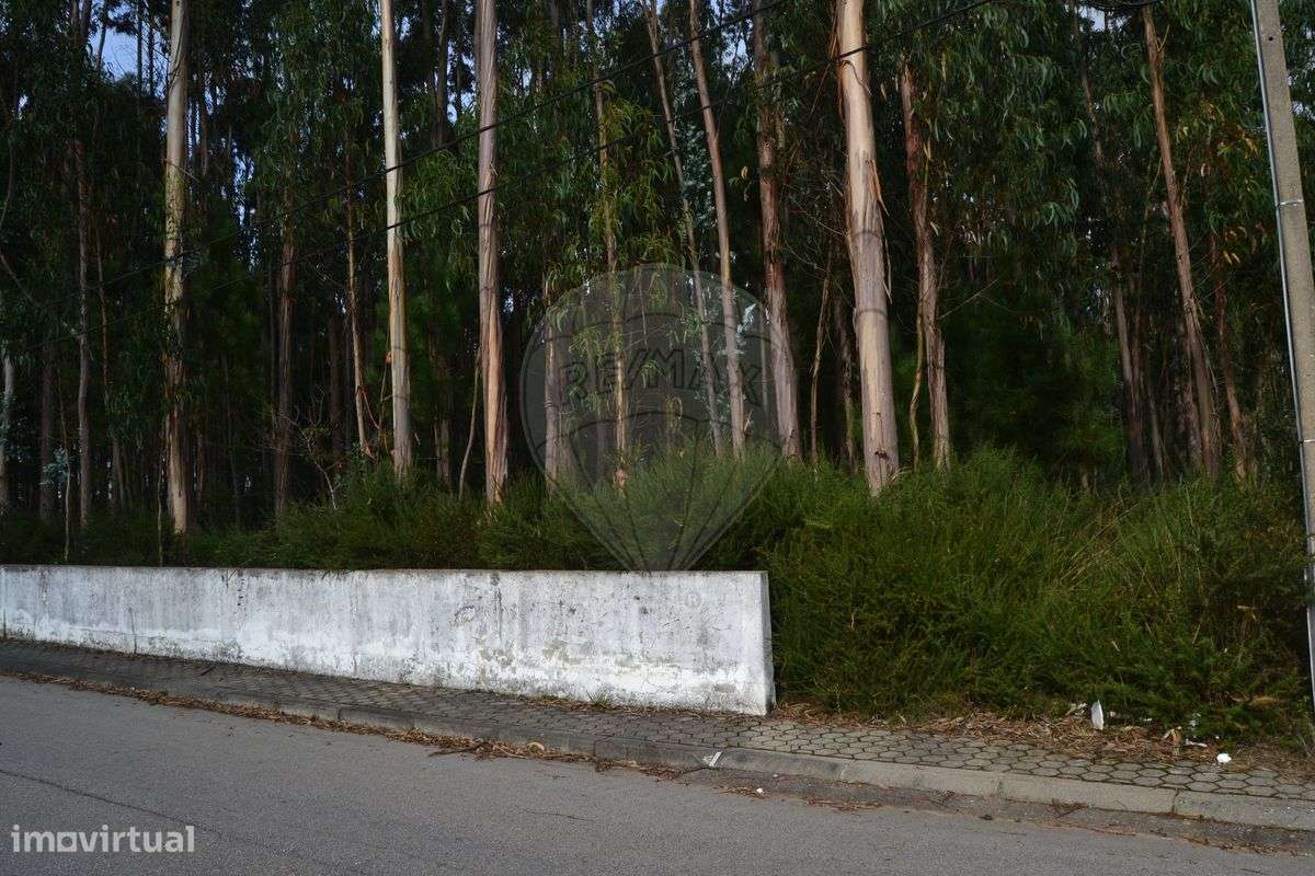 Terreno  para venda - Grande imagem: 4/6