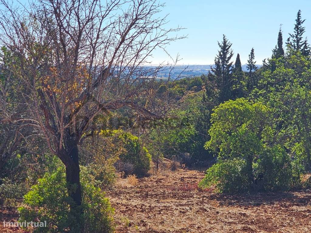 Moradia por recuperar com bela vista perto do Marshopping Algarve - Grande imagem: 2/26