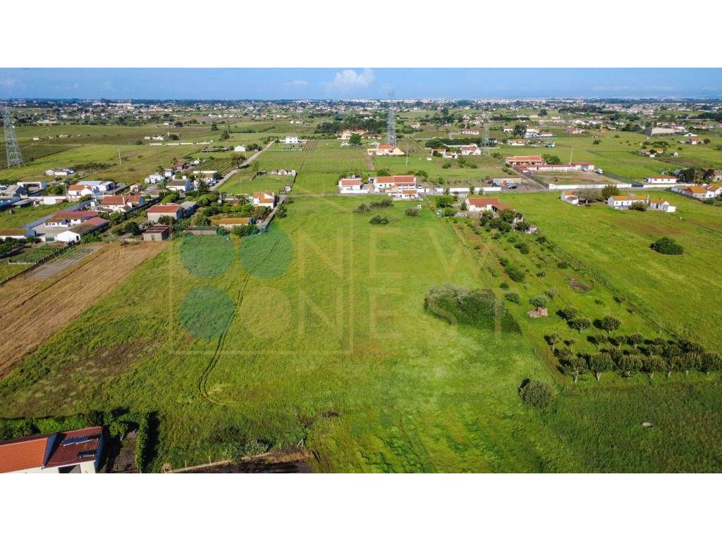 Construa duas casas num terreno único de 12.900m² em Arraiados-14