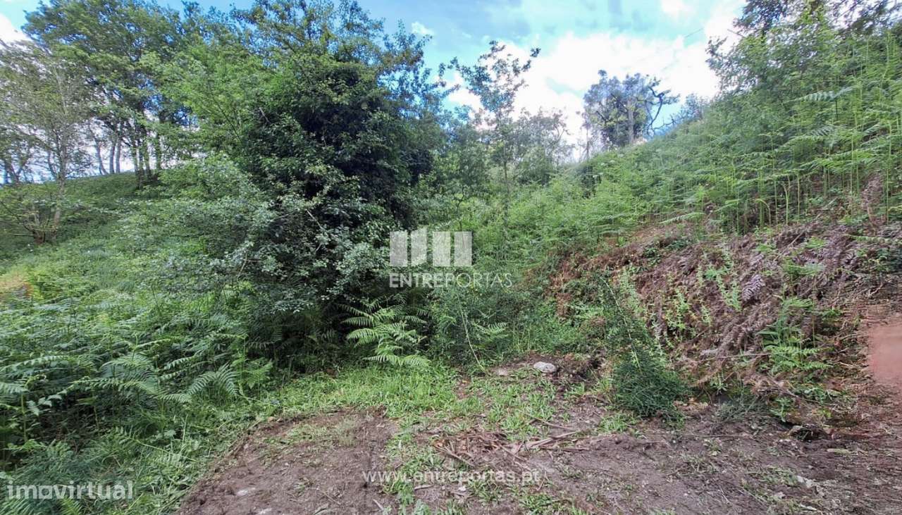 Venda de Terreno, Vila Nova de Muía, Ponte da Barca - Grande imagem: 5/27